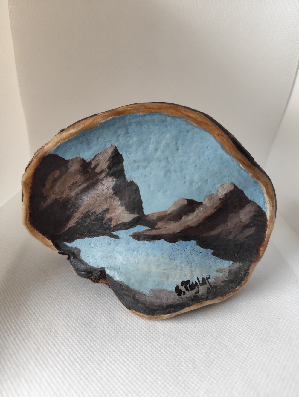 Hand-Painted Mountain lake Scene on mushroom
